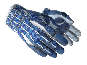 Sport Gloves Amphibious