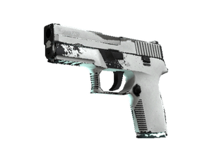 P250 Whiteout