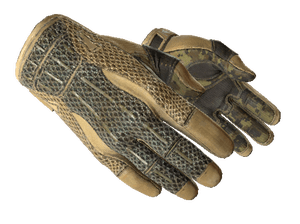 Sport Gloves Arid