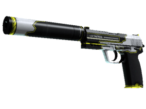 USP-S Torque